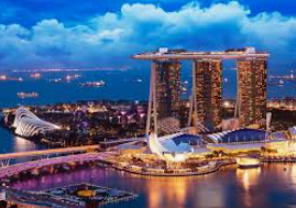 46倍狮子森林舞会免费版