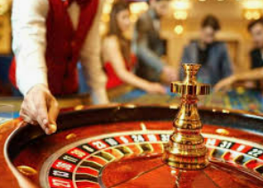 46倍狮子森林舞会2024最新版